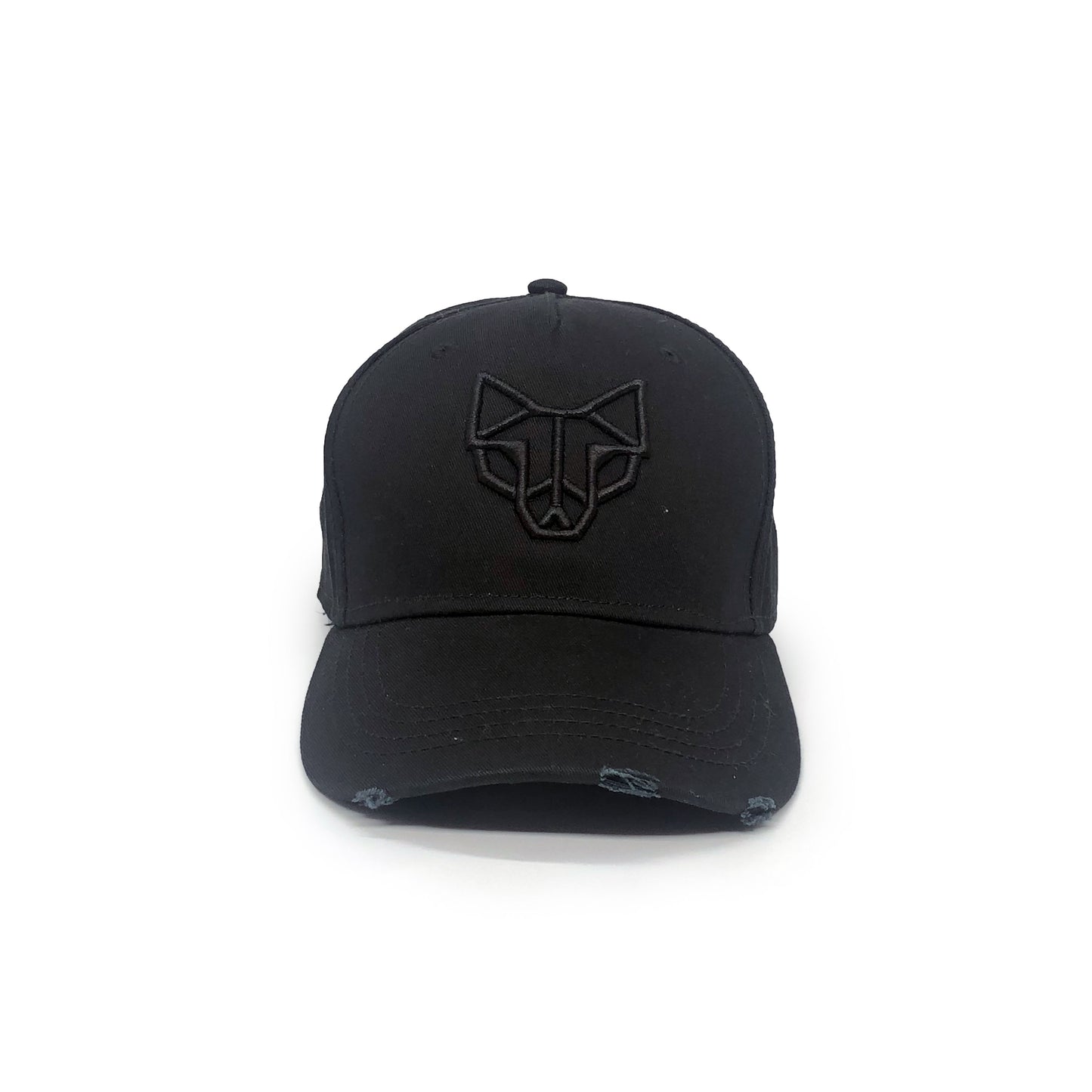 Emblem Distressed Cap