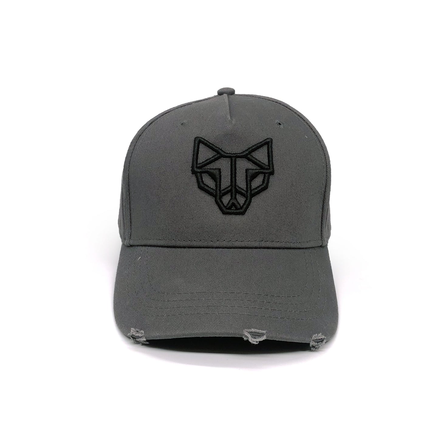 Emblem Distressed Cap