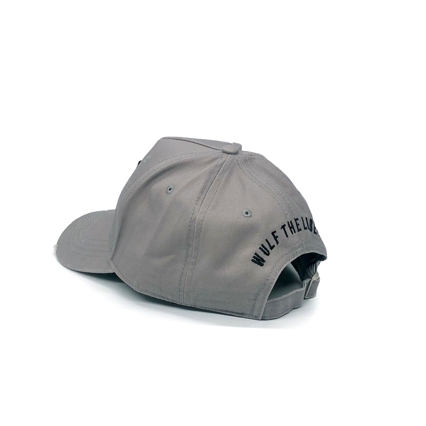 Emblem Distressed Cap