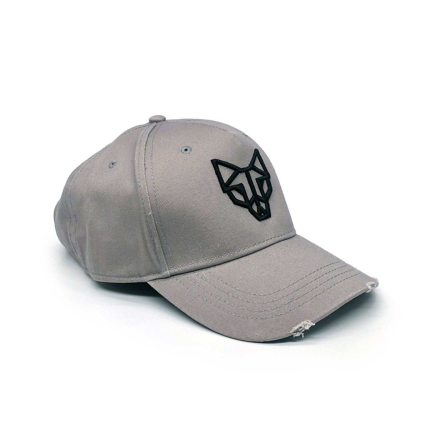 Emblem Distressed Cap