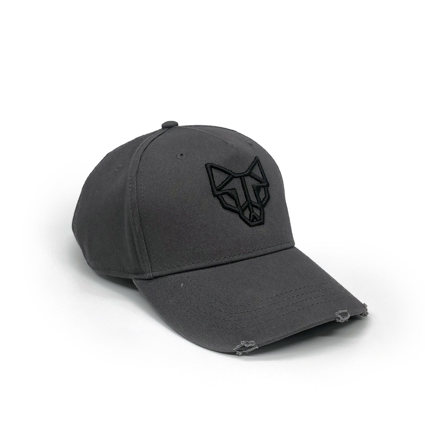 Emblem Distressed Cap